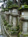 2008-11-16_07-46-52