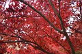 2008-11-17_03-03-38