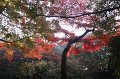 2008-11-17_03-04-36