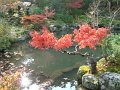 2008-11-17_03-11-12