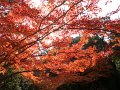 2008-11-17_03-27-13