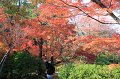 2008-11-17_03-29-13