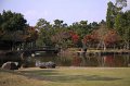 2008-11-17_04-05-02