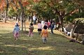 2008-11-17_04-11-46