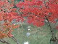 2008-11-17_04-45-38