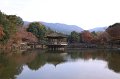 2008-11-17_04-59-23