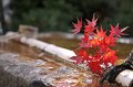 2008-11-17_05-42-14