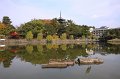2008-11-17_06-09-47