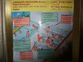 2008-11-17_10-28-05