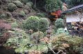 2008-11-18_07-20-23