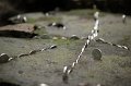 2008-11-18_08-29-48