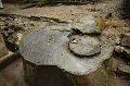 2008-11-18_08-30-02