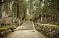 2008-11-18_08-53-46