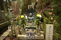 2008-11-18_08-54-14
