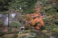 2008-11-18_09-46-56