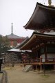 2008-11-19_02-21-39