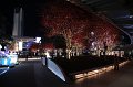 2008-11-19_12-12-33