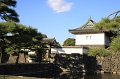 2008-11-20_07-47-57