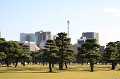 2008-11-20_07-51-01