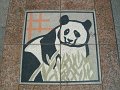2008-11-21_04-32-21