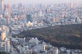 2008-11-21_09-16-48