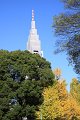 2008-11-22_04-54-10