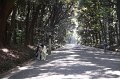 2008-11-22_04-55-22