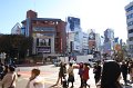 2008-11-22_05-21-42