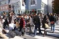2008-11-22_05-36-46