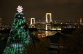 2008-11-22_10-43-28